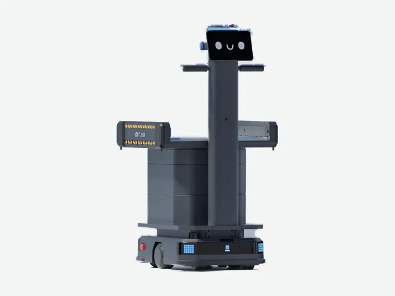 Industrial delivery robot with a conveyor module on a guidance column
