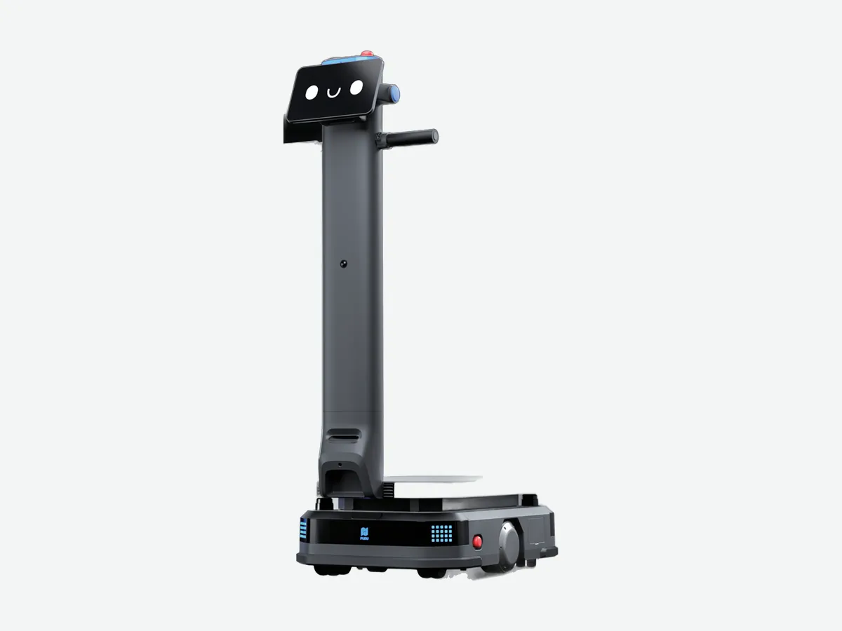 Heavy-payload industrial transport robot with load platform and guidance column